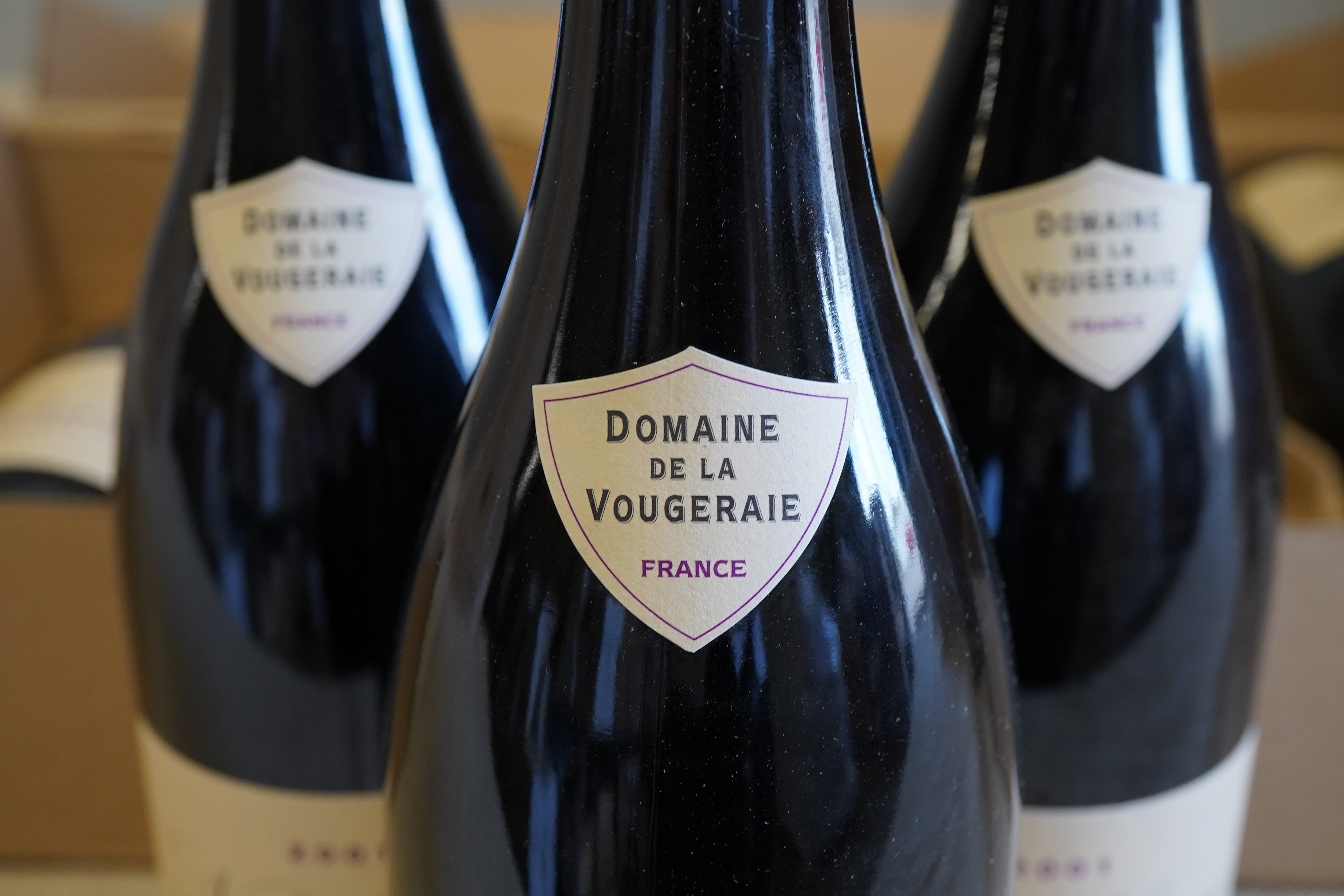 Domaine de la Vougeraie Nuits-Saint-Georges, Les Damodes, 2001